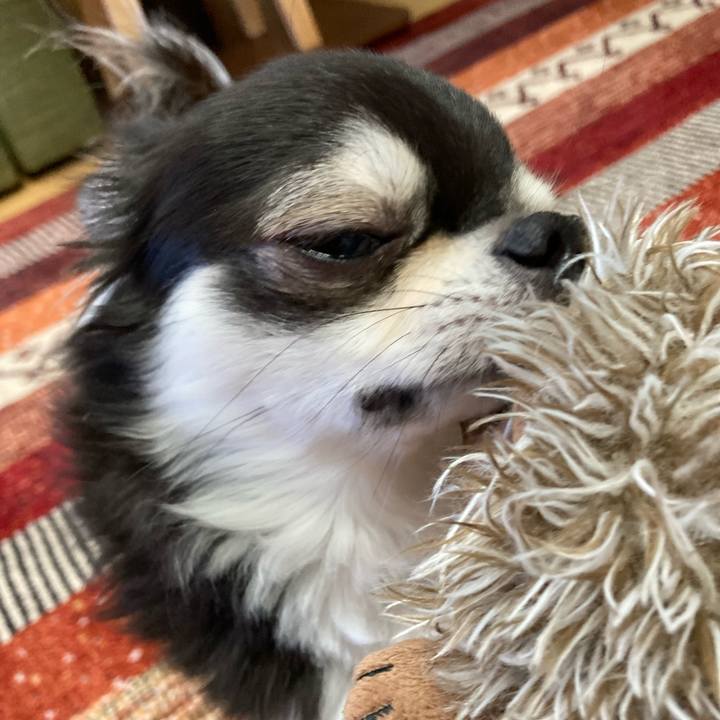 1c33cf63 e162 4b60 b07a f8bb4ce1ca19 1673274936226