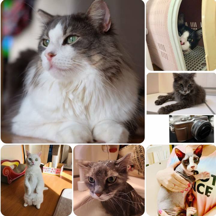 1c33d9b4 322c 40b7 aaf7 737a50f2302c 1569406307173