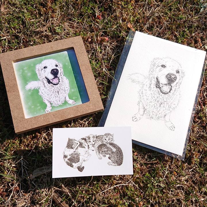 1c33f4db fd0f 4bbf b693 bc814c25d2e3 1607134781862