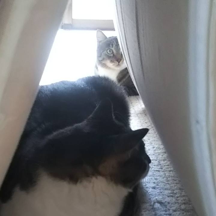 1c344675 447b 4c50 81a0 d01ea4c81545 1626928056711