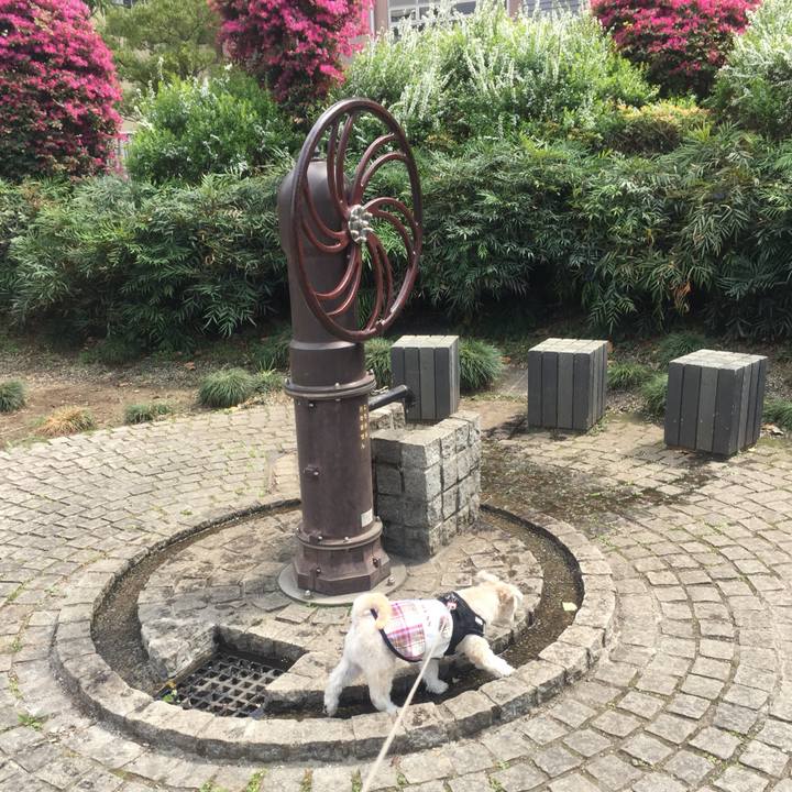 1c3456b8 03f2 428b 8981 6f26315fdaec 1522927812237