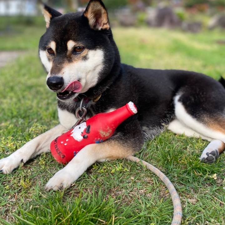 1c345b10 0327 4dfe 86d7 bb210acd50e3 1651223890305