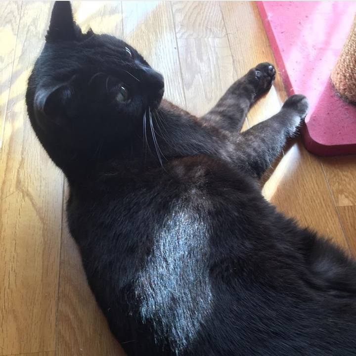 1c34da74 73a1 46a3 8921 9ca34d137fe8 1571818850208