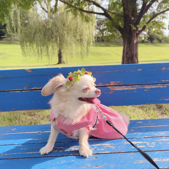 1c351068 9e67 4e1d 9b91 7dbeaa603471 1717851725688