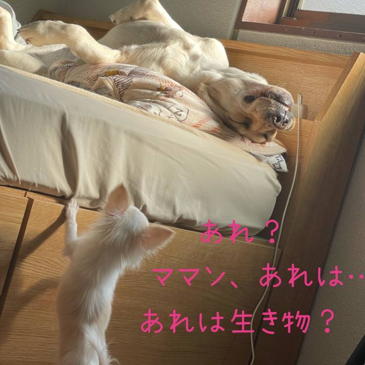 1c351178 56da 4f72 863c acedafbfbfc7 1674285688532