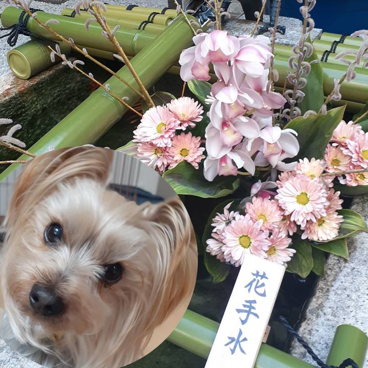 1c352e03 7888 4e4b 9788 3c71f6b08a01 1647737648309