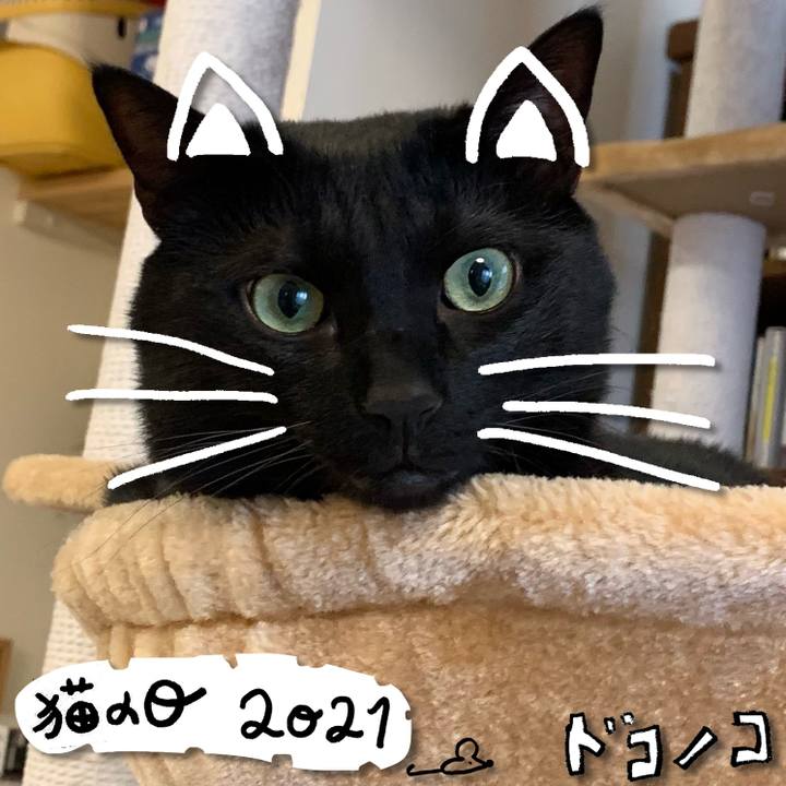 1c356e1e 6bb7 4cf8 9fd8 bca265be6168 1613965654474