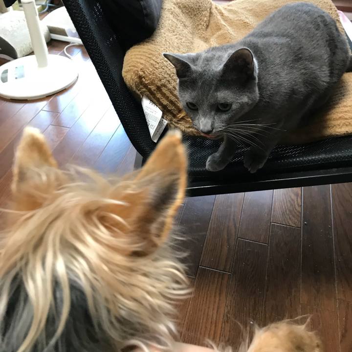 1c3572a0 e7d8 4af9 a7a7 f6e38b82ea52 1526803139657