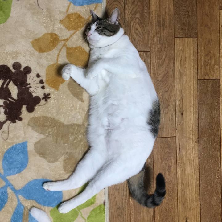 1c3589b7 1ed0 498f a36b f45759aab187 1511021162637