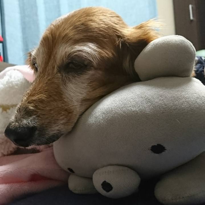 1c3594d7 97da 427b 8b87 a1b477b12524 1508565561895