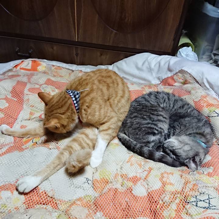 1c35c11a 878c 4a93 8dad 6de08bc0e61a 1571750487067