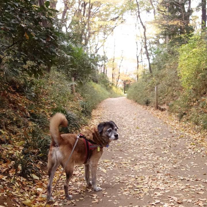 1c35e315 9268 4176 9d6b 3da882fbd1bc 1653525918697