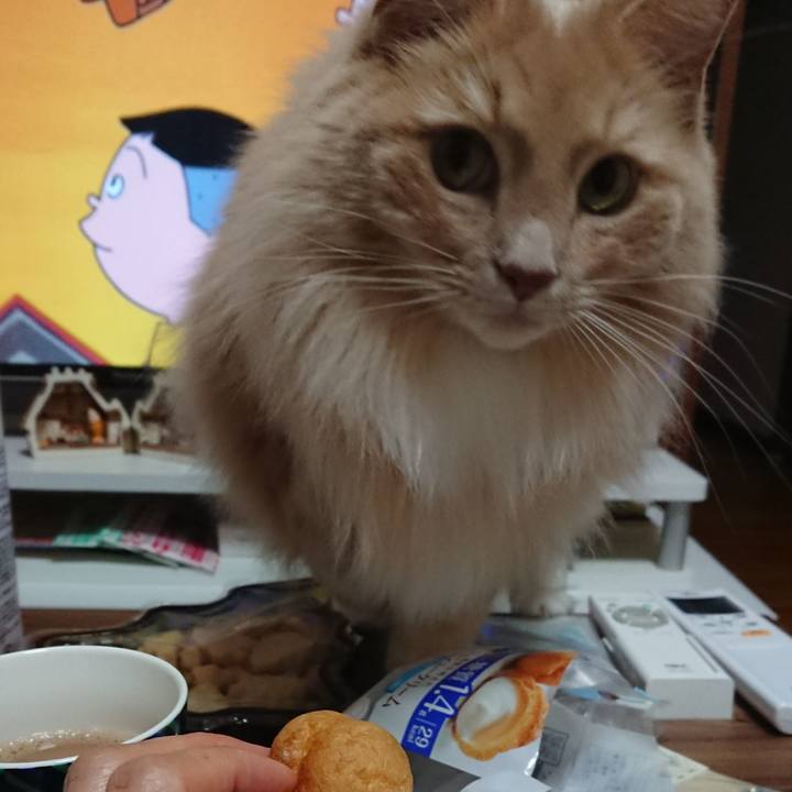 1c35f080 dae5 43d5 b7fa 651a3069f72e 1543978608019