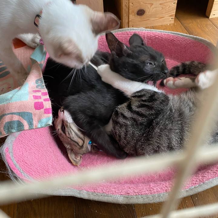 1c3603be c719 4383 8cc1 a66e942df449 1629332471941