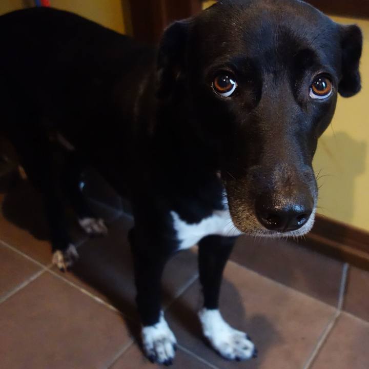 1c362c24 a9ab 424a 97d5 8880f42862c3 1625353696411