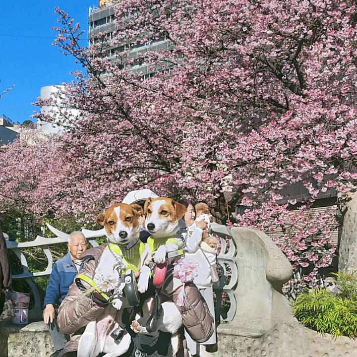 1c3642f6 6f16 4adb bc3e 57f06fdfd84e 1769161587403