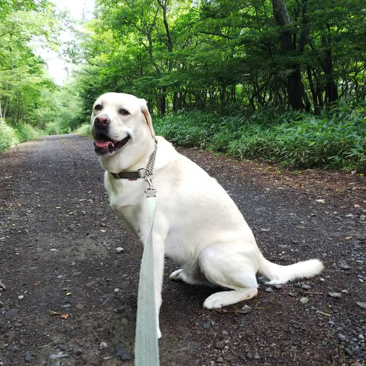 1c364b16 a73f 42d0 b815 ec99092397ee 1533948429928