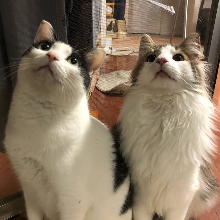 1c365724 e80c 414a bf4e 0882b711dc38 1522844180050