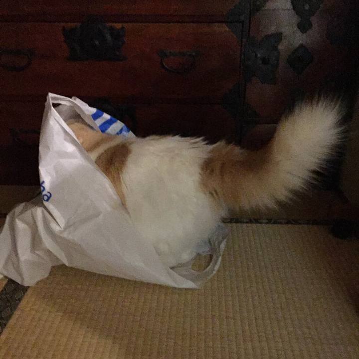 1c366e14 7889 41fe 95ce 5280976a8d59 1527421868224