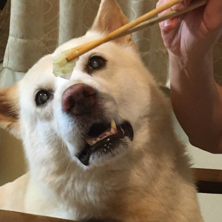 1c369043 fc8c 4630 abc7 92f93d7f562b 1601122674355