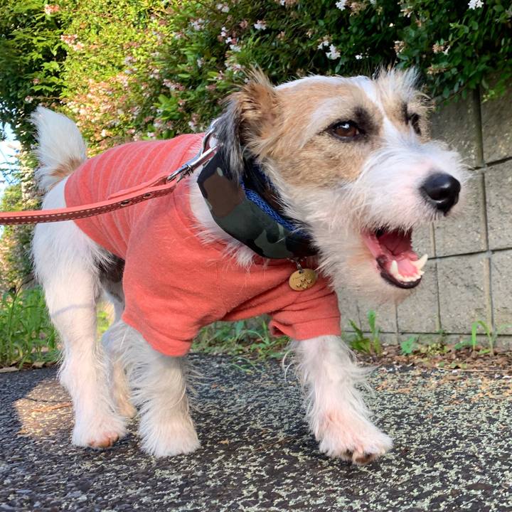 1c369915 faab 4a51 a31e 98d393e2436c 1596271381850