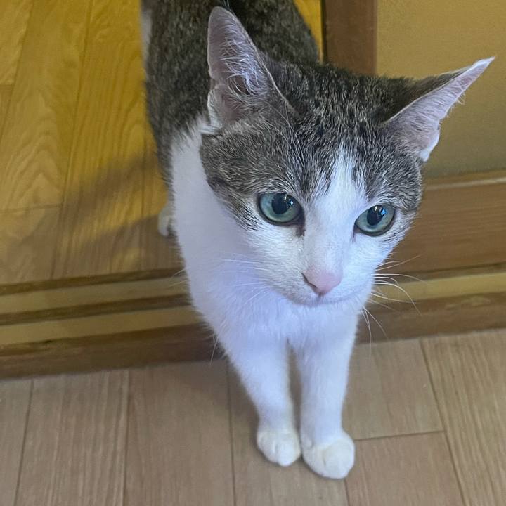 1c36aadc dfa9 40f6 b0f1 016dfd222b21 1674684794924