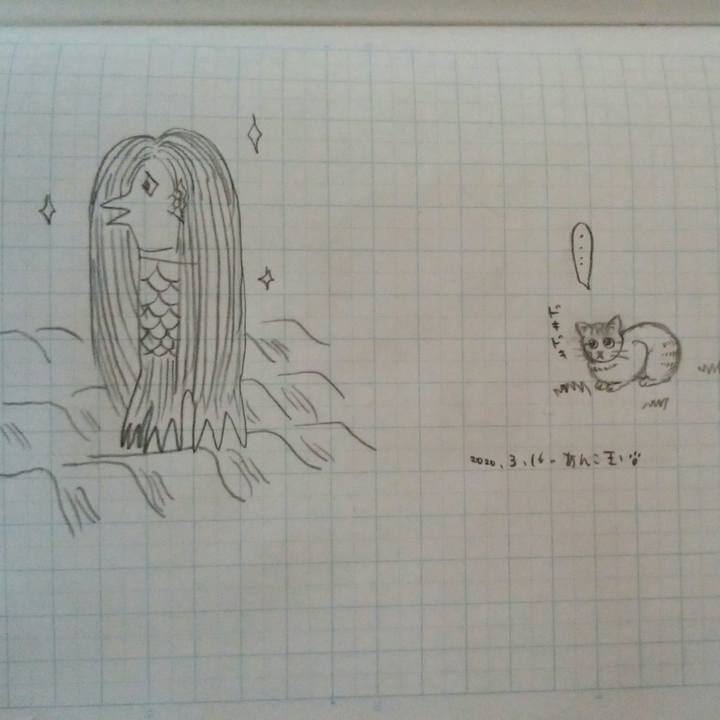 1c36b2cc 583e 4411 8ff0 d4d9365c0b69 1584348887962