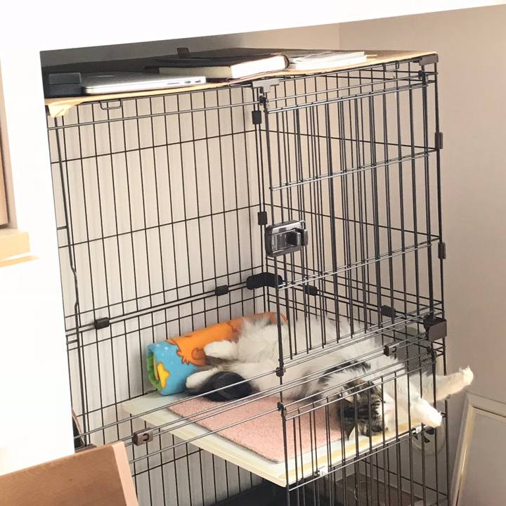 1c36e09e 6dd8 4eb8 b1e4 2da2302812bf 1531353916043