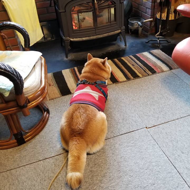 1c36ecbd 6a95 43ec 9693 976f13a96c80 1552606989800