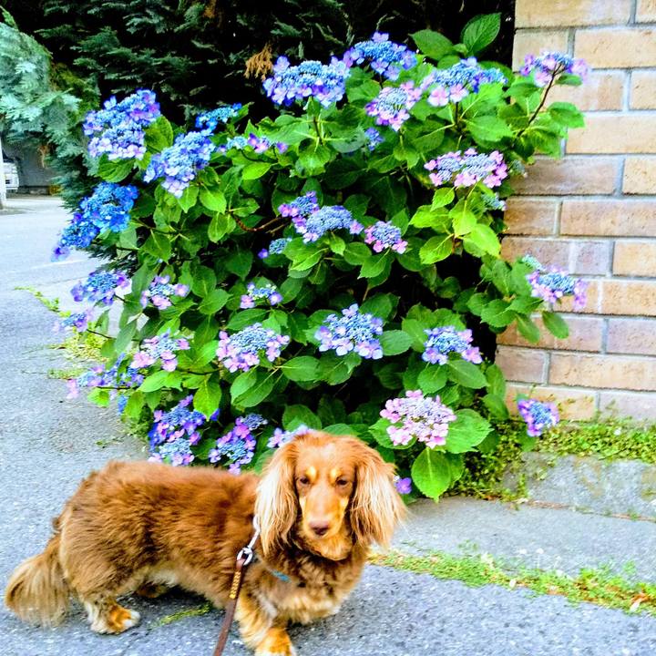 1c373ac5 aec8 490a 8f91 40dd55f1895d 1559645021804