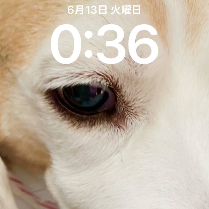 1c379ce9 2fa3 40ec a38a 526415c0d2b5 1686610697805