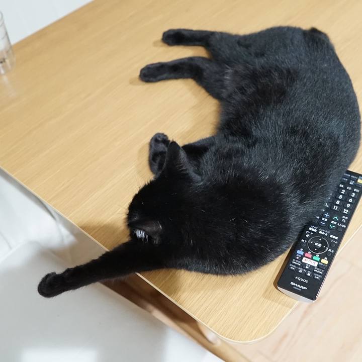 1c37c615 f209 4eff ac5b 64d51500bc3c 1564442619012