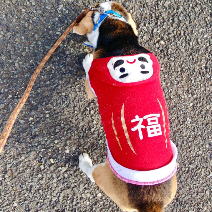 1c37d011 1ac2 4786 9735 1b322d5023db 1775094347847