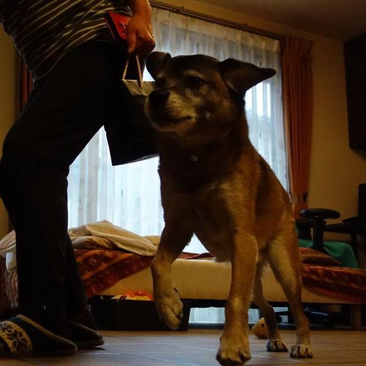 1c37e52c ff49 4a3a b07b 8ee25c45a5bb 1514079682186