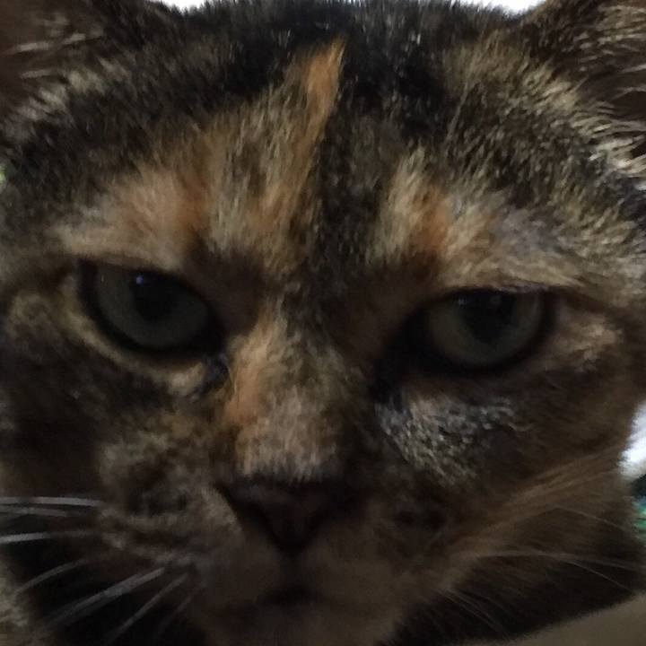 1c37ebc8 1c36 4eb4 95f4 df0ee738f6e0 1535982385412