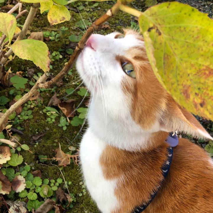 1c37f814 6661 44c8 b9b4 d8582805d986 1542960225488