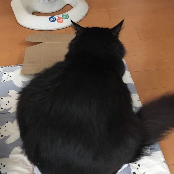 1c3840f8 a1b3 4013 a4f2 ba5d934908df 1519905284743