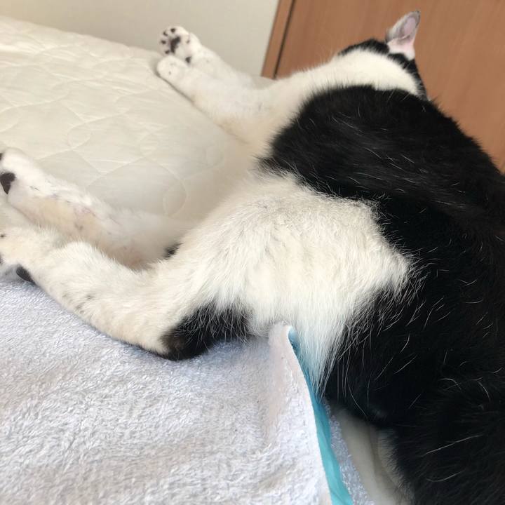 1c38624f 9c21 4332 8346 71c4df2e71af 1560931374962