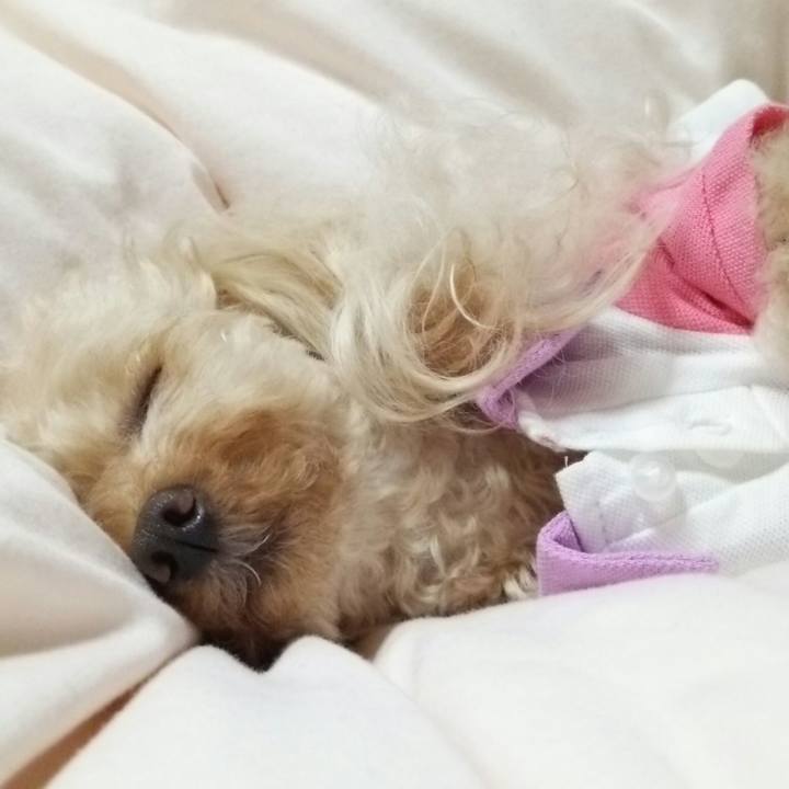 1c386f38 a6a4 4a06 bf30 99b1a0fc71d4 1525092900567