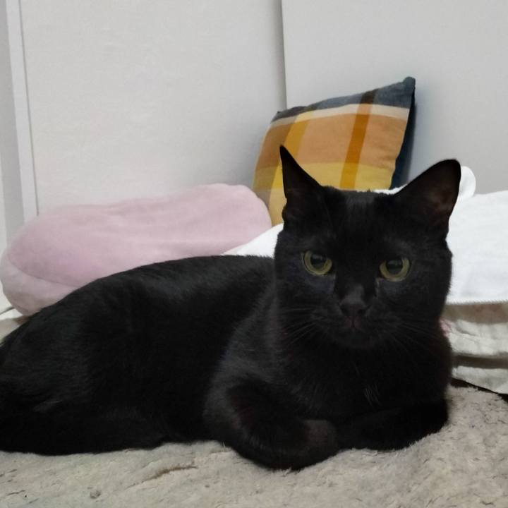 1c38bcb7 e00b 40d8 8adb f137c0b95858 1682427348038