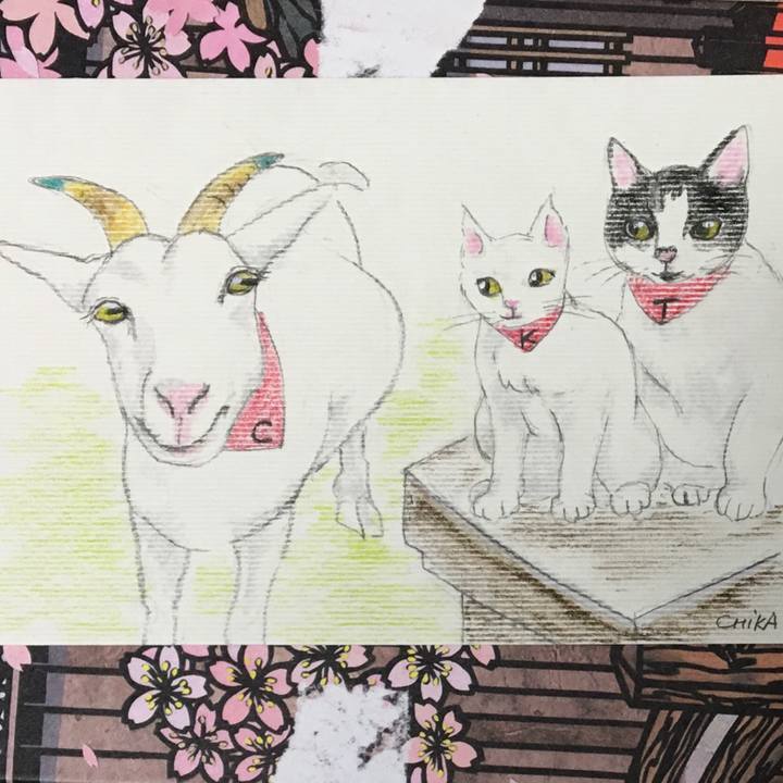 1c38dd1a 3e5d 4561 b0ca 061acda93178 1588597596484