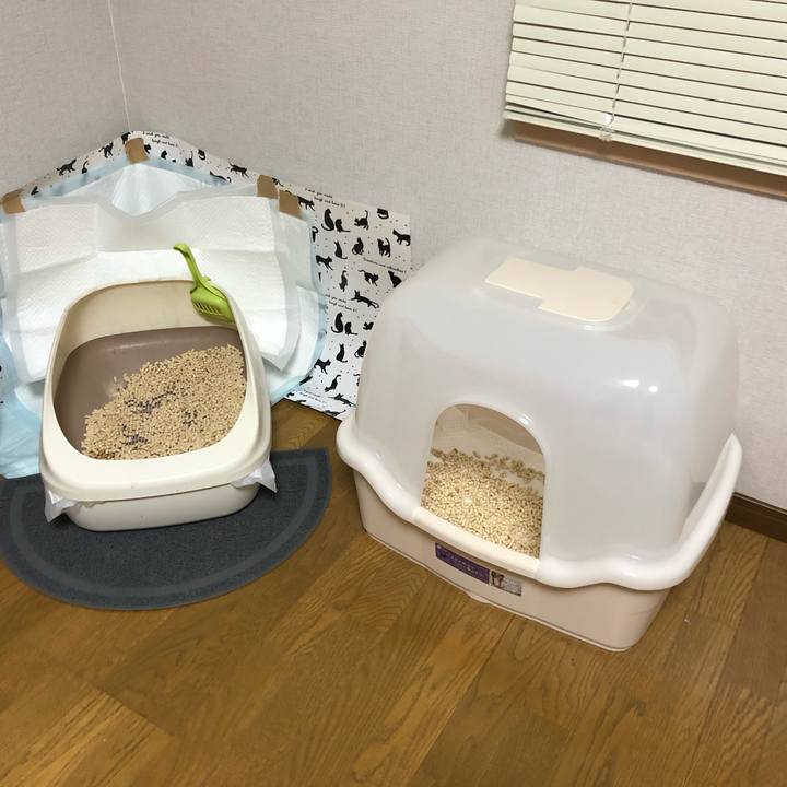 1c38e1bc f922 4745 a6e1 39e605208163 1571306164361