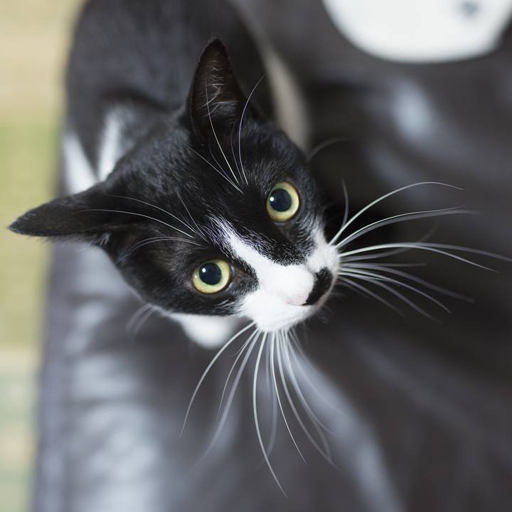 1c38e700 a27c 409d 9dc0 dca845ecdad2 1527471332598