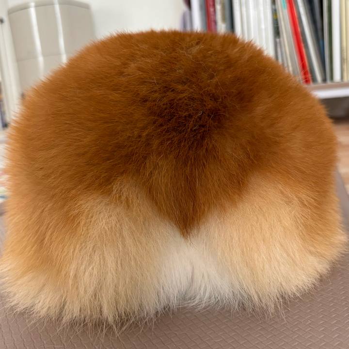 1c3945d4 8e46 40aa a446 da9efc30b2da 1775459731923