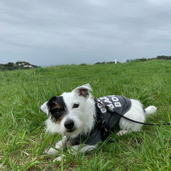 1c395b2d 5098 4e46 8761 528e4113a4aa 1651105460210