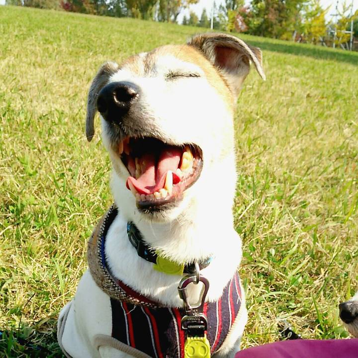 1c396544 5316 46c3 8132 bdcbbf4a5fb6 1509859494597