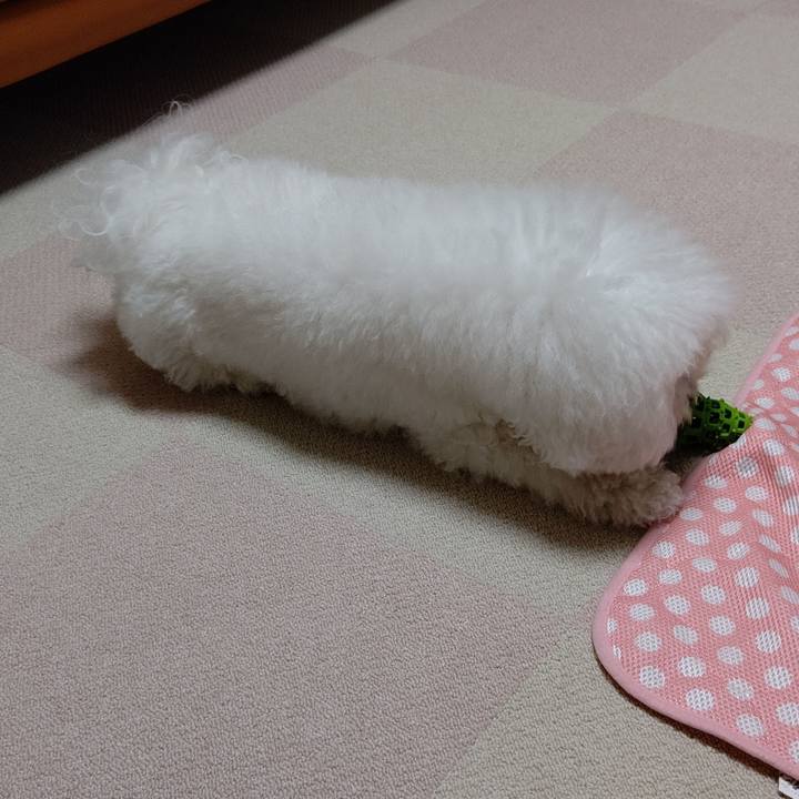 1c397565 68eb 4593 a06c b77480751835 1572005292220