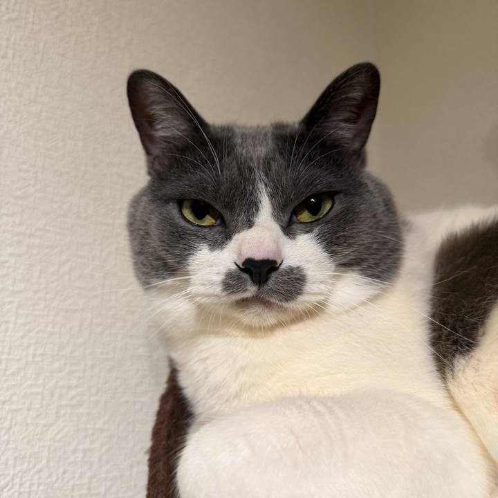 1c3980dc 7f69 47be 9280 a5402daa047b 1769356690930