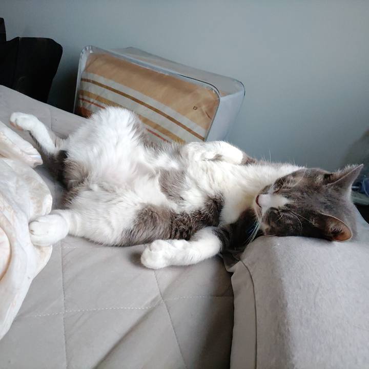 1c39b25d 3a90 4298 92d2 e65df4460b0e 1690981748294