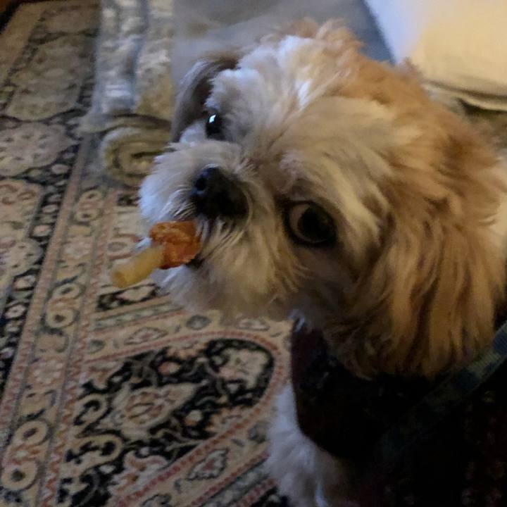 1c39b4d6 f89c 41af 9c60 af6855988079 1575765841505